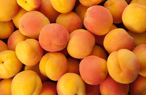 Health Benefits of Apricots - Stemilt
