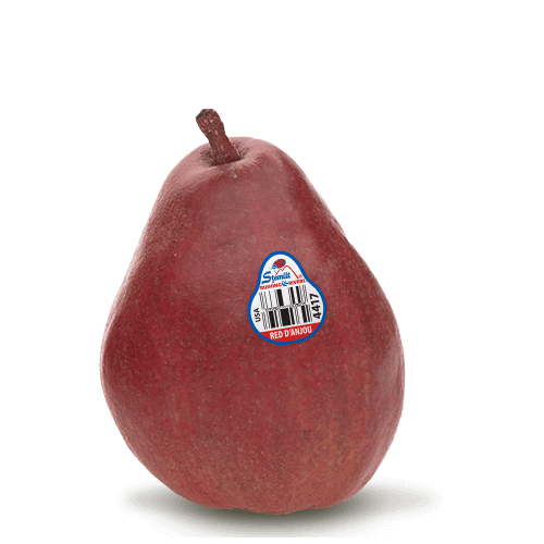 Red Bartlett European Pear